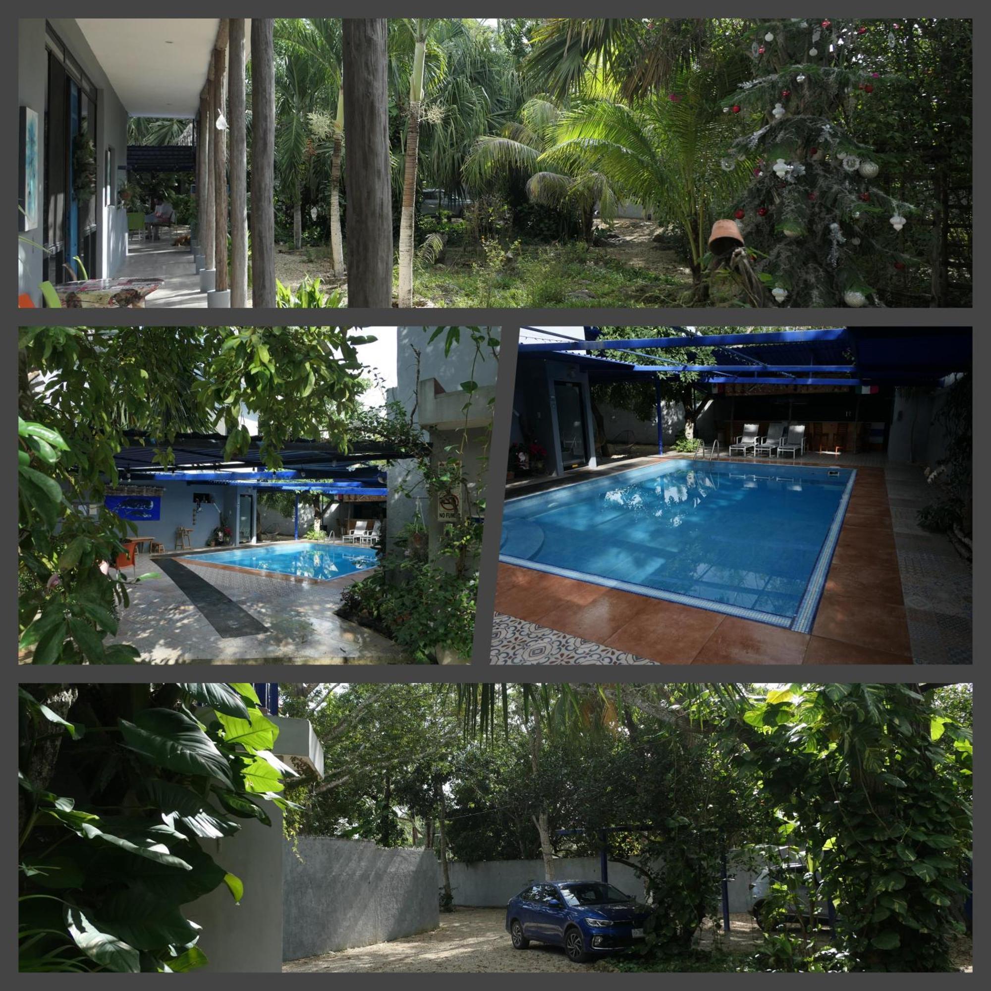 The Blue Eco Lodge Tikuch Exteriér fotografie